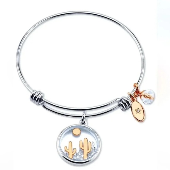 Cactus Desert Stay Sharp Crystal Charm Bangle Bracelet in Stainless Steel - Picture 1 of 2